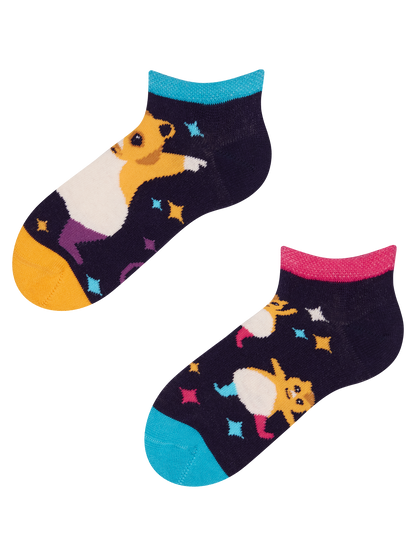 kids-ankle-socks-party-hamsters-d2/d24883f10d9f77385c37cbfcf3441ddd1bd93ae3