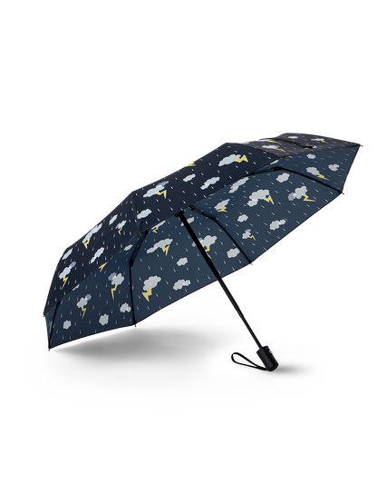 umbrella-storm-1d/1d79a74ada989a5854d14cc507003fd775fa3370