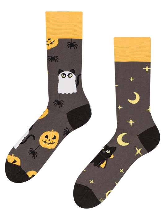 regular-socks-halloween-cat-73/7313f61ae90c9e8591369fb21b7ca382afd9c50c