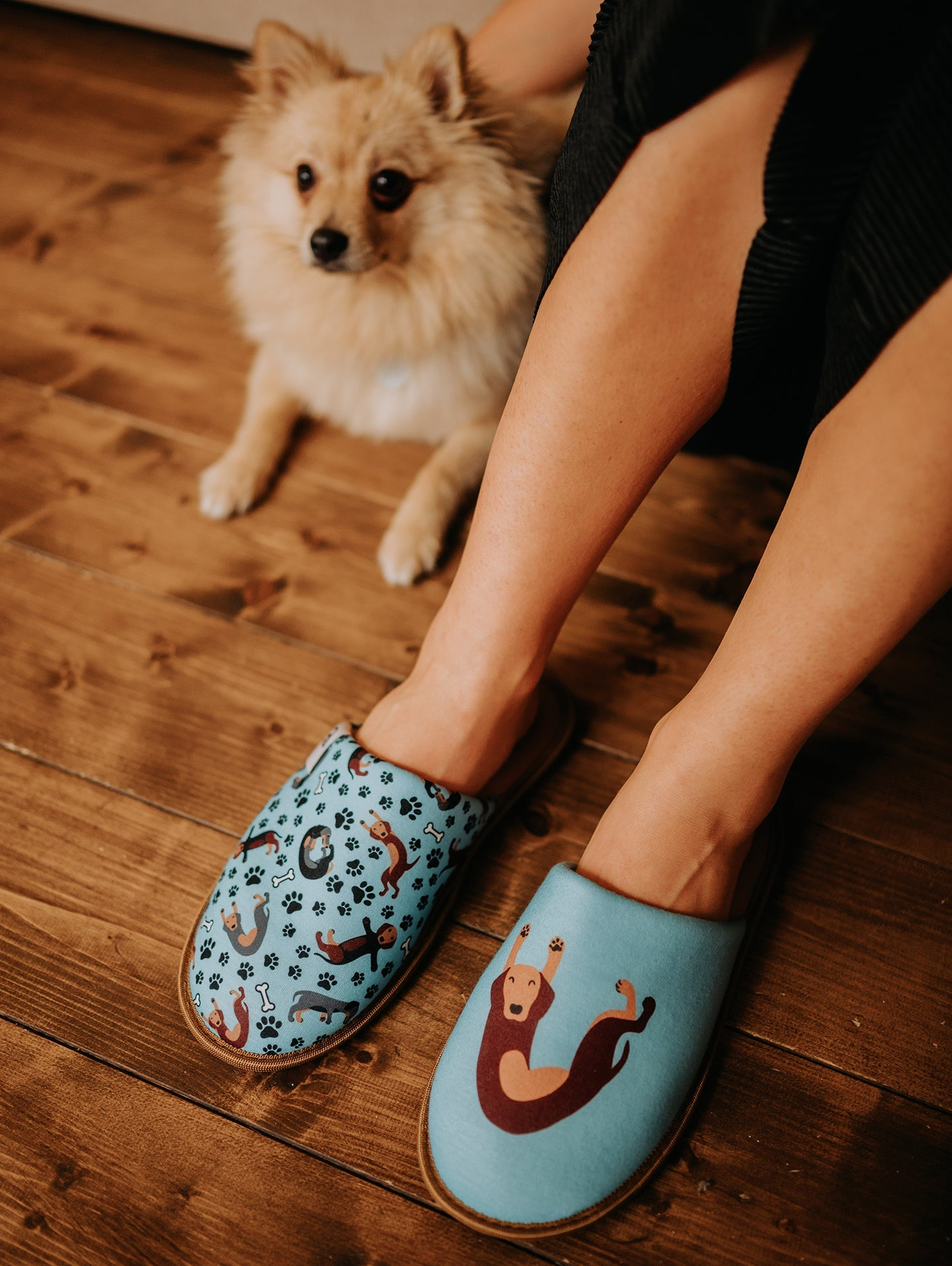 slippers-dachshund-68/68d00cbe7f5bb9cbad6b8d21089e6463bd1073ab