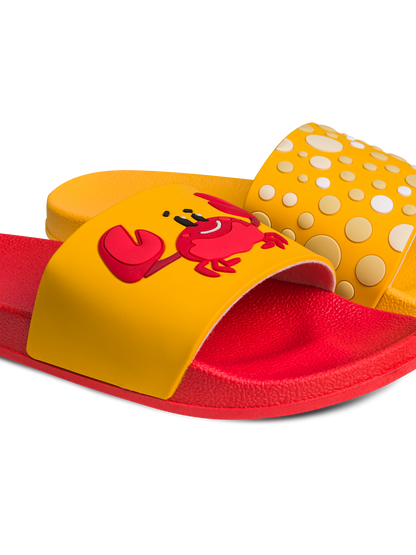 slides-happy-crab-7f/7f2b3d381a7273681bfddf1ea21a74590b4bafc0