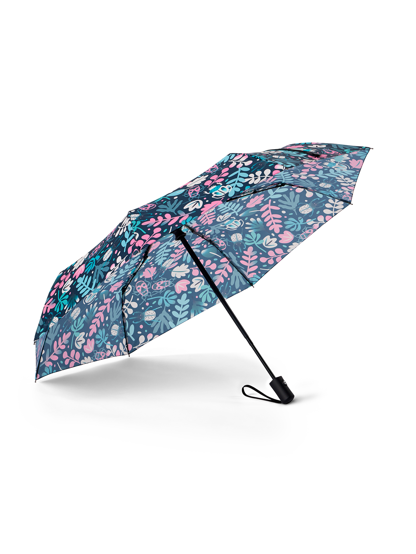 umbrella-leaves-bugs-02/02453e5a9b8ca6d7fa740f8c245c754a9d1bae0a