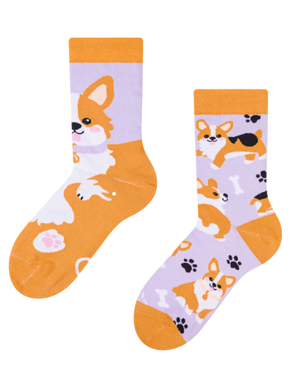 kids-socks-corgi-dog-fe/fe5aef896f092160afa731e508ec649c57558d09