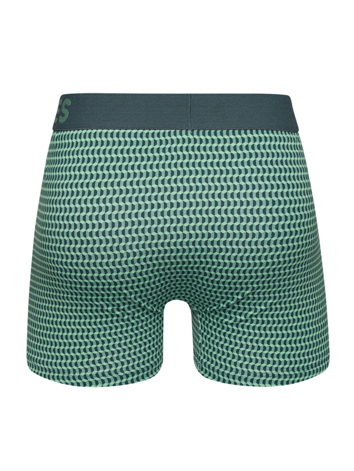 pastel-green-mens-pattern-trunks-06/06bec550dd543aef6970c6066b435fdebd3bcdda