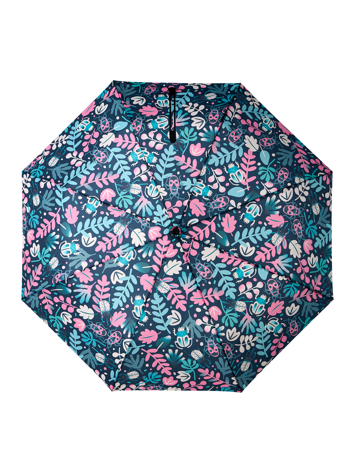 umbrella-leaves-bugs-99/997c2415885fe168733c6fb93336ae0c137bfcf2