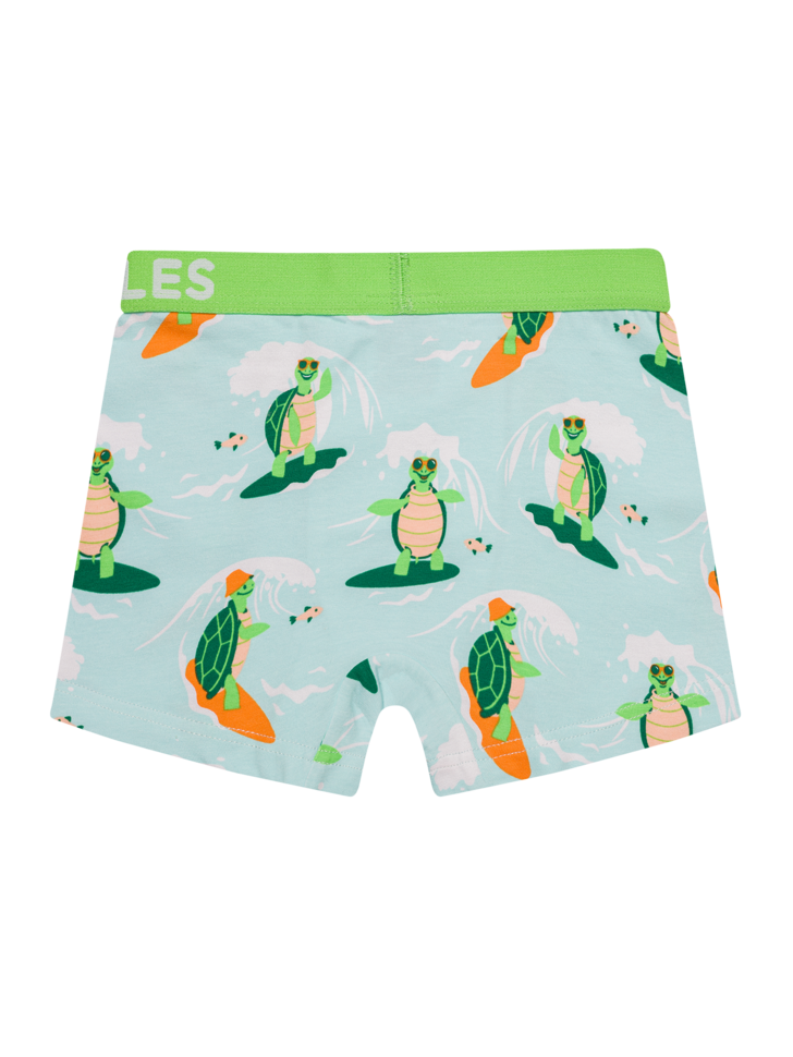 boys-boxers-turtle-the-surfer-03/037dfdb3cd8b5c1c705e6d5ded7fc08fcb21b7ca