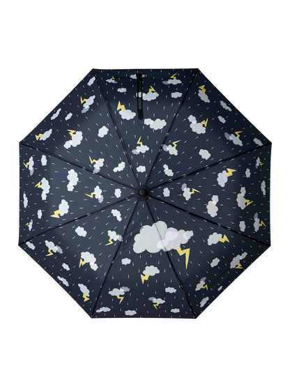 umbrella-storm-87/877730c2688dd9fa1c00a3876331d2773da846ee