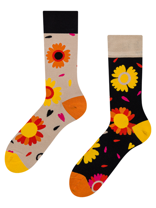 regular-socks-loves-me-loves-me-not-2d/2d31e8b65008911f997c8d122154f2c9d76f2e08