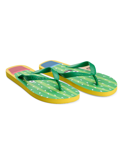 flip-flops-funny-cactus-65/658da6f0bed86fe83495036db8f69fe62e65f38d