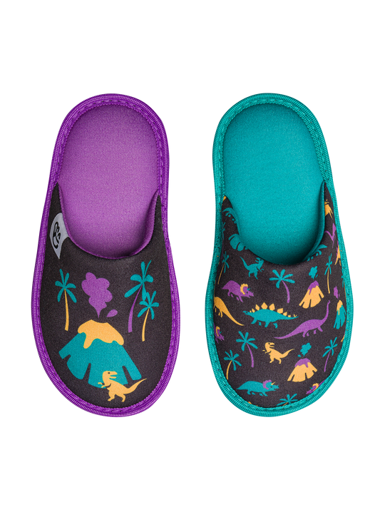 kids-slippers-dinos-volcanos-f9/f957b69b1fb9b9c2e52d7ff2e6c288b9be0a8aec