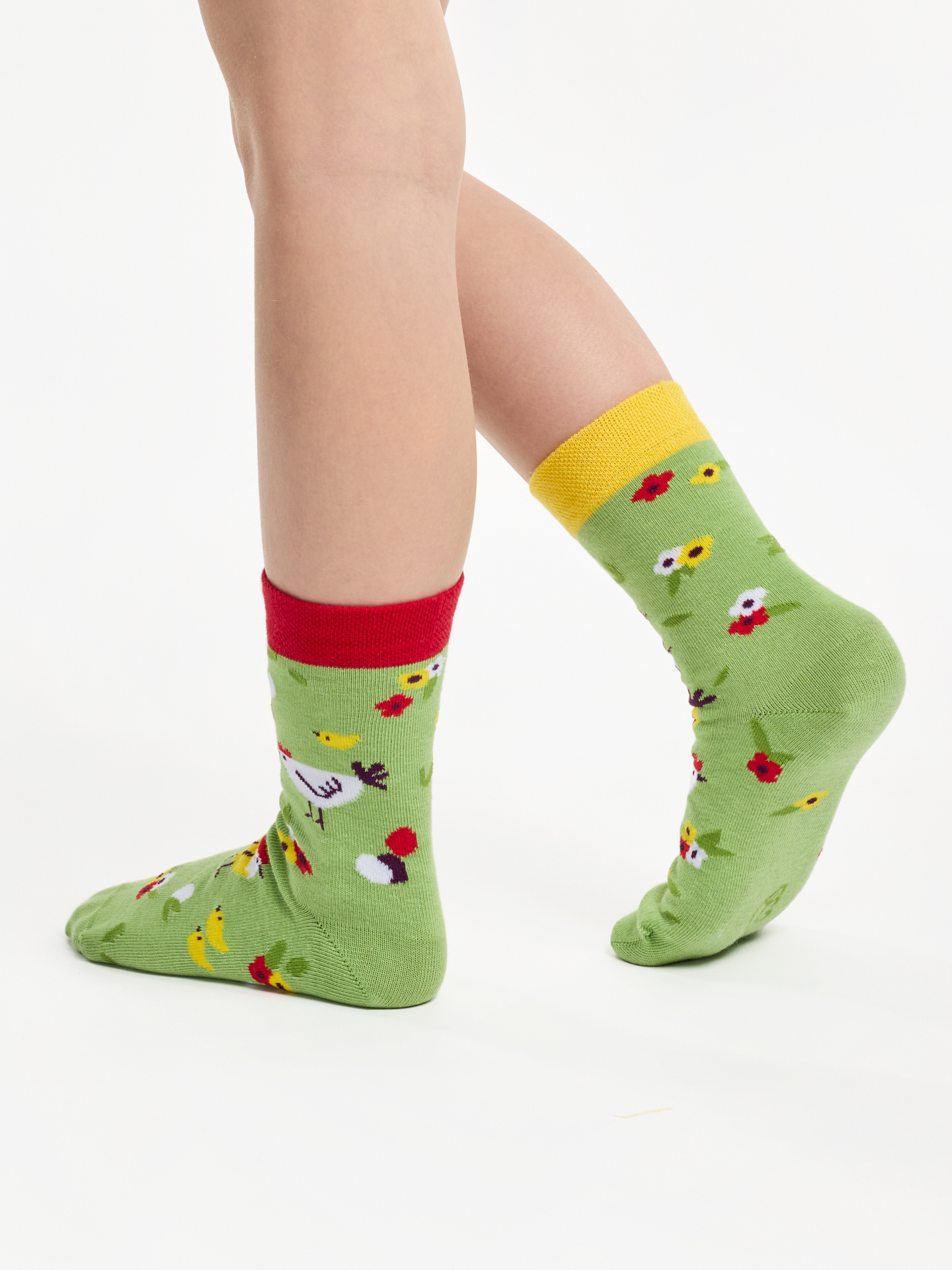 kids-socks-hens-chicks-be/bee6b953befbdb1f8f7af27d422961277d45c03e