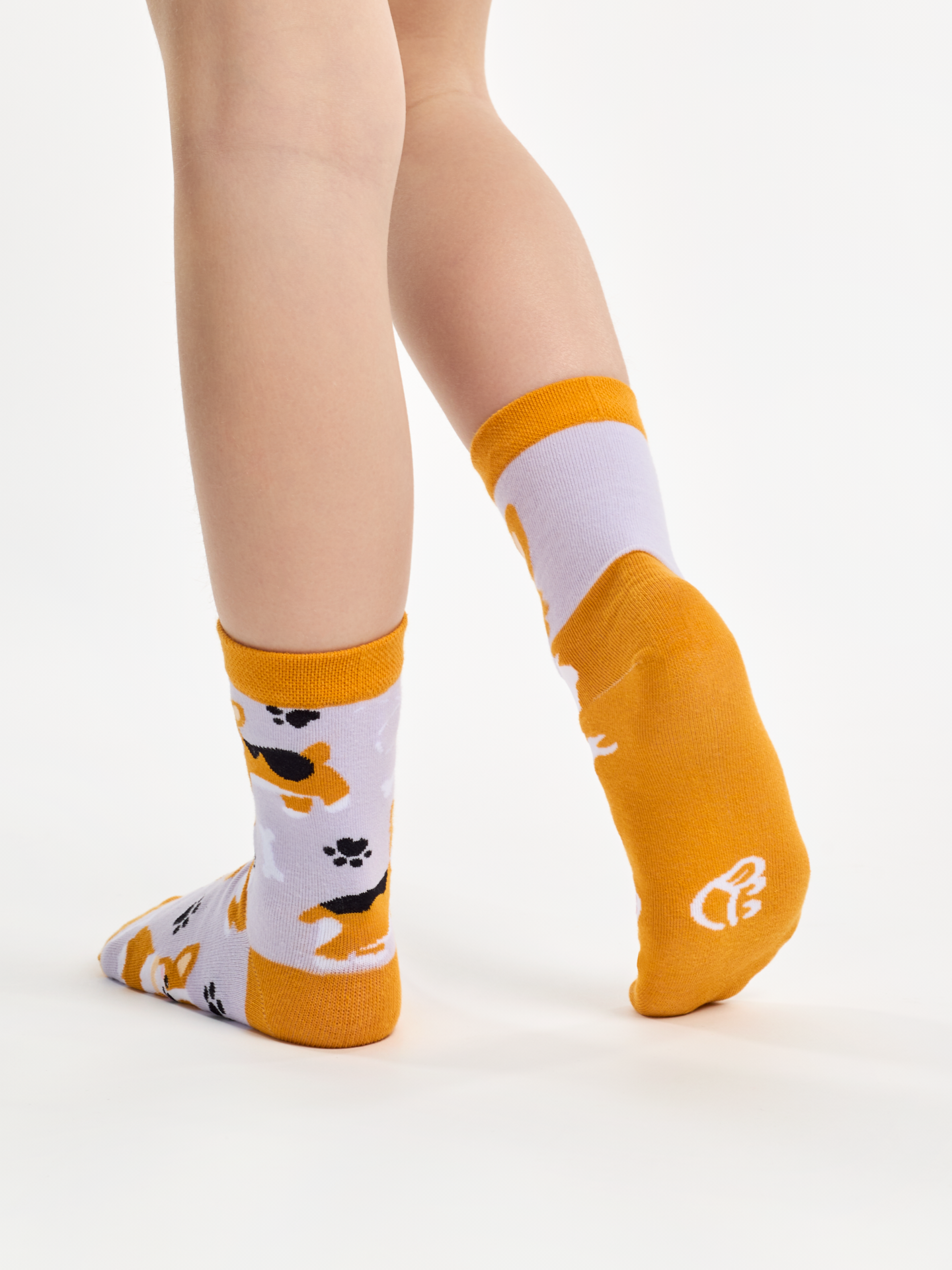 kids-socks-corgi-dog-6b/6b97cb65c68da12efbbd7ab4c7079f6707ee71cd