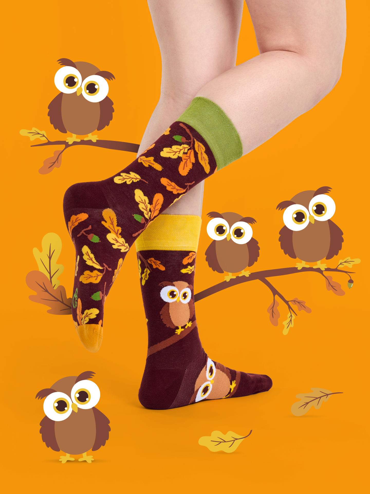 regular-socks-curious-owl-82/8268d8a2eae50e81bb695bc1ab556e71c97abed2