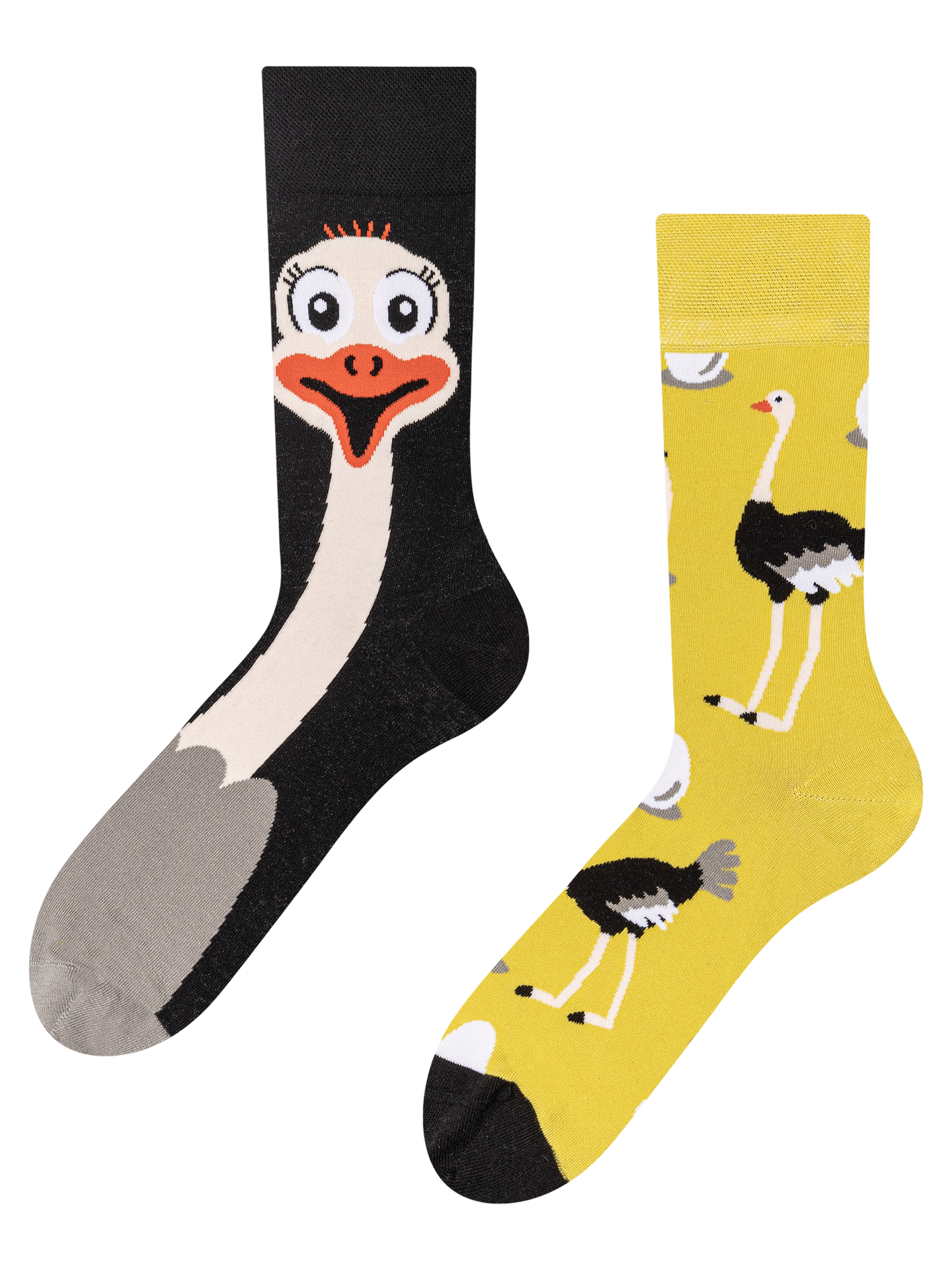 regular-socks-ostrich-a1/a1ee1772cdecab837c02dba07aa1ecc4c5c41f78