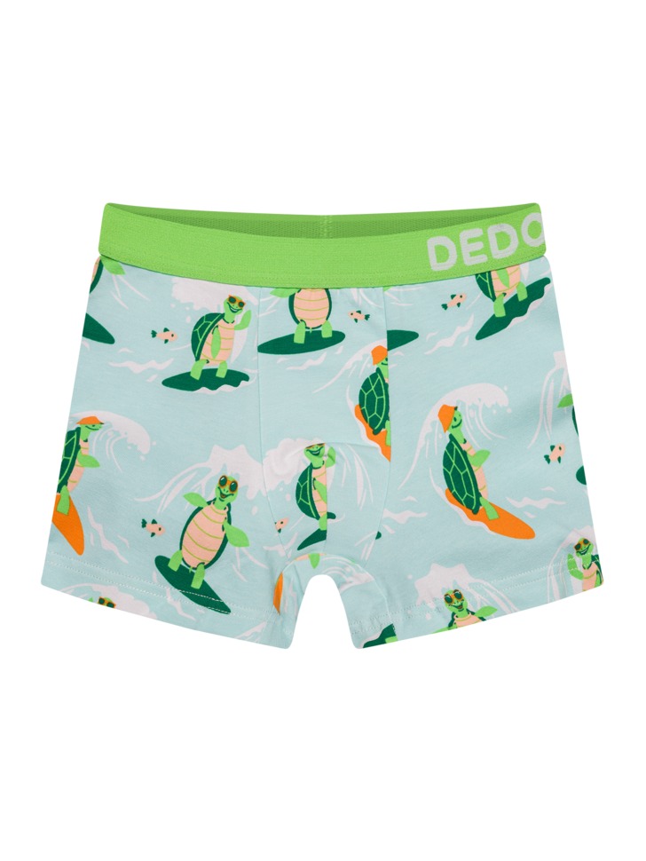 boys-boxers-turtle-the-surfer-e4/e4af8ff2bb0aa1c9507d4d22bb9adc9f229b0192