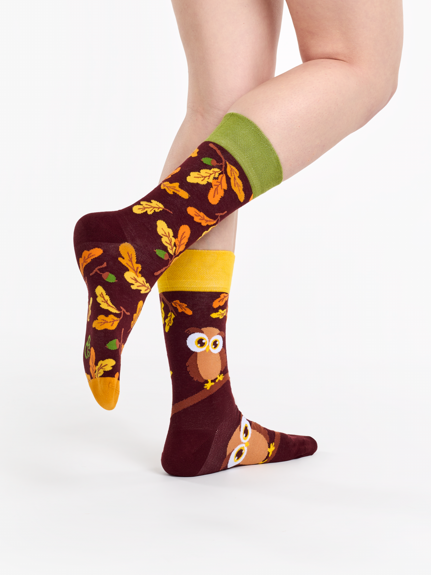 regular-socks-curious-owl-10/101c0929ef34458bbc7a0247e9202ab75a3def13